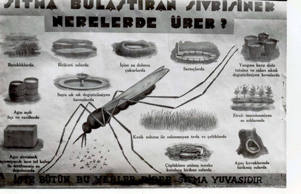 Sıtma ile mücadelede kullanılan çok sayıda afişlerden biri...